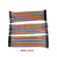 Dupont Jumper Wire Cable 20CM 40pin