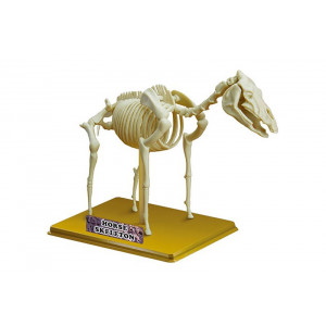 Сборная модель "Скелет Лошади" Артикул - 28204