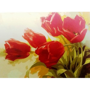 Красные тюльпаны. Картина по номерам 40х50