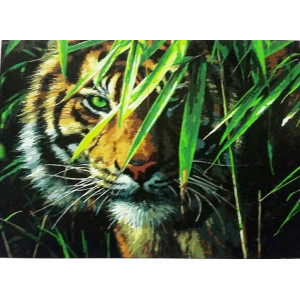 Тигр с зелеными глазами. Картина по номерам 40х50