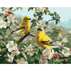 Картина по номерам Птички на яблоне 40х50