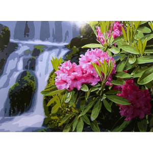 Картина по номерам Цветы у водопада 40х50