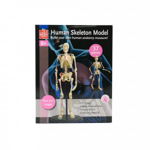 Анатомический набор (скелет)