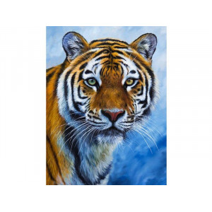 Набор юного художника 20х30 Глаза тигра (15 цветов)