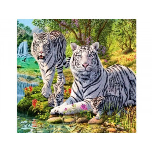Картина по номерам 30х30 Семейство белых тигров (19 цветов) Артикул - KH0367