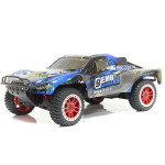Шорт-корс трак Remo Hobby Truck 9emu Brushless 4WD RTR масштаб 1:10 2.4G - RH1025