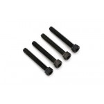 DUBRO Винты с цилиндрической головкой 4-40 x 3/4" - DUB572
