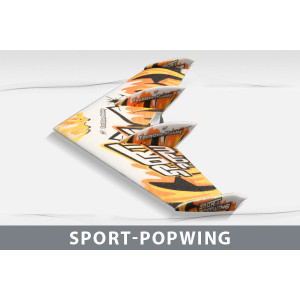 Самолет Techone Sport Popwing EPP COMBO