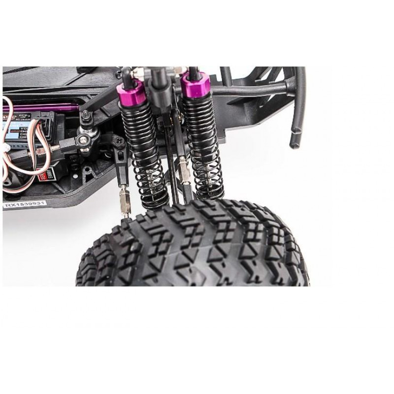 Радиоуправляемый монстр HSP CrazyIst 4WD RTR масштаб 1:10 2.4G - 94211