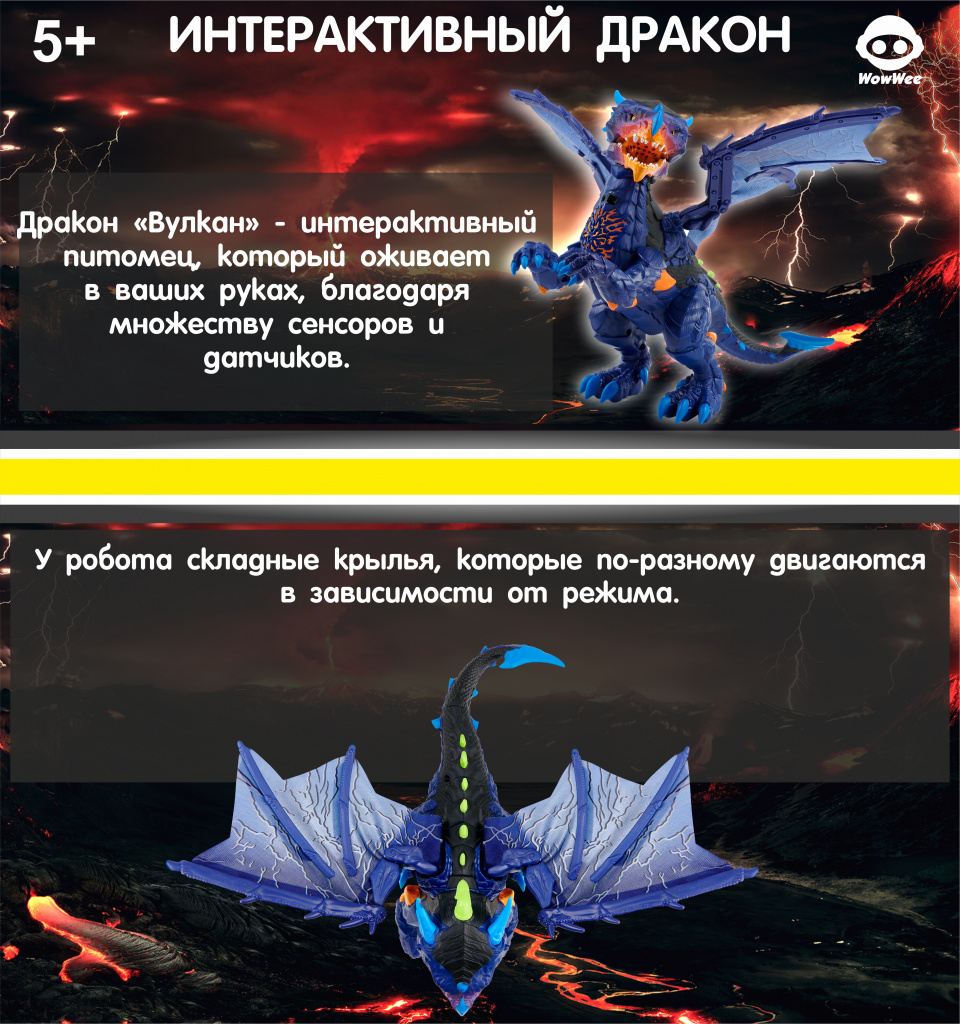 1.jpg 1.jpg